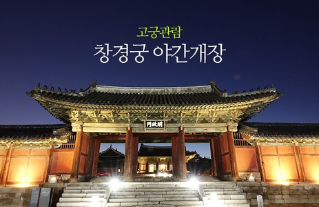오피투어 핫플레이스 서울창경궁