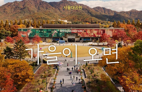 오피투어 핫플레이스 과천서울대공원